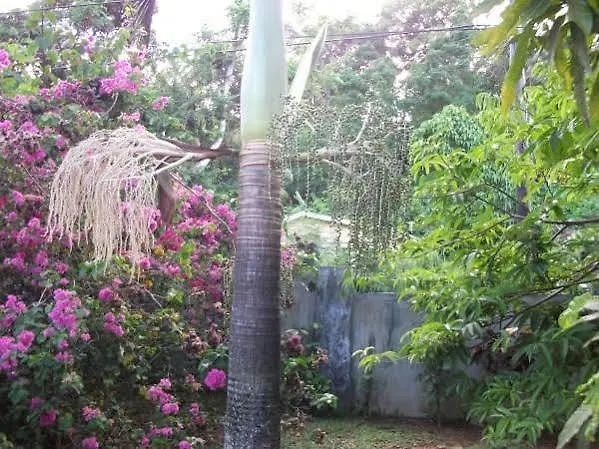 Villa Marl Self Catering à Pointe La Rue